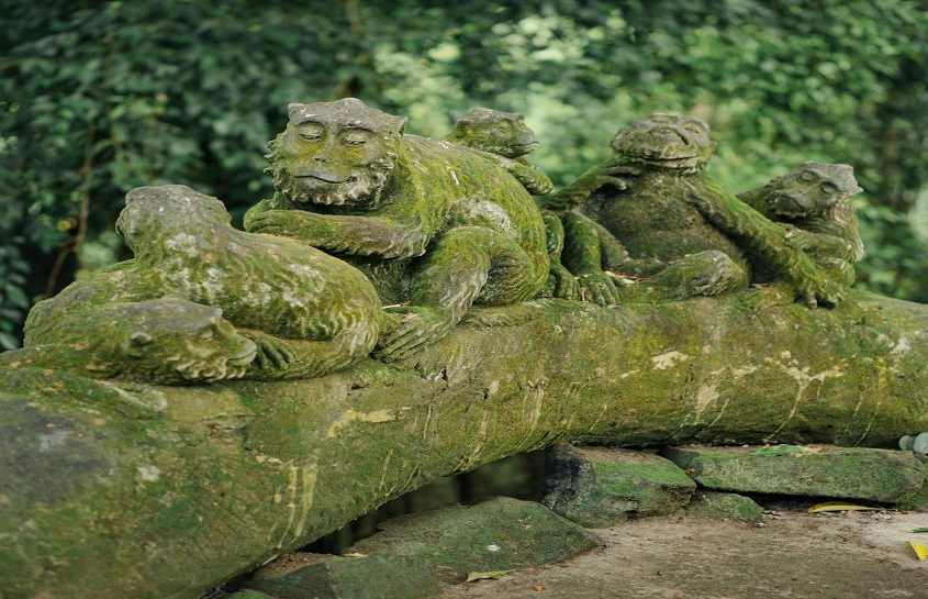 Sacred Monkey Forest Sanctuary