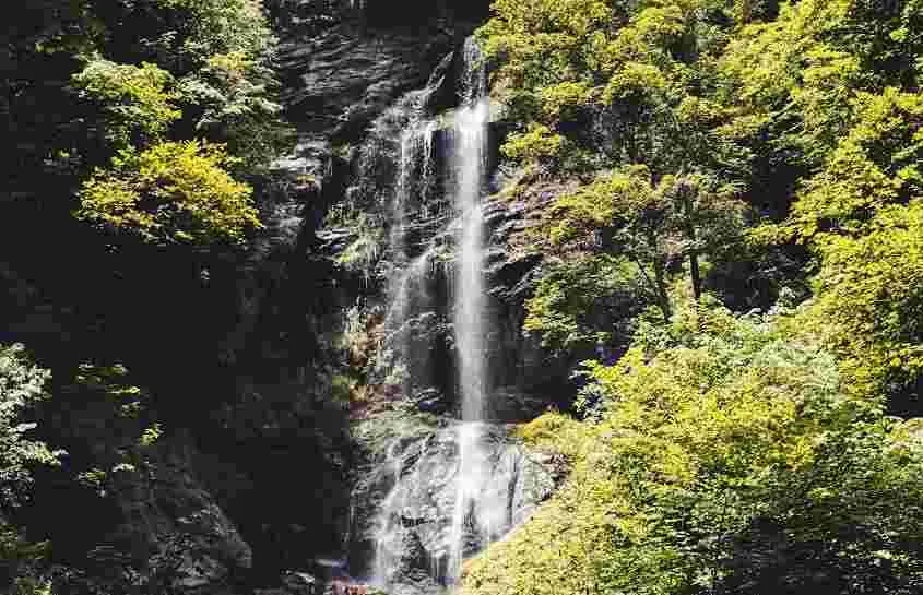 Hikes Near Me