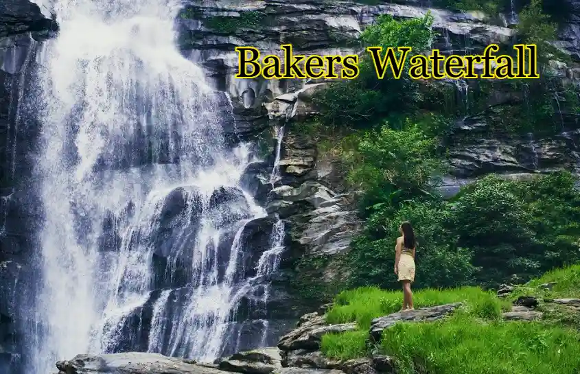 Bakers Waterfall – Where Nature Slows You Down and Reminds You to Breathe