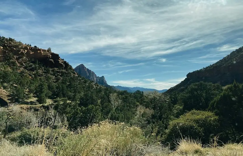 Things to do in Mesa AZ