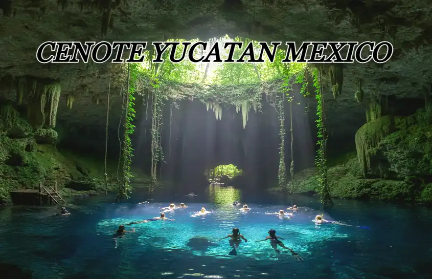 Cenote Yucatan Mexico: Dive into the Most Magical Freshwater Caves