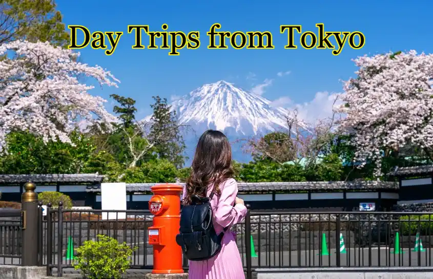 Best Day Trips from Tokyo: What I Learned Leaving the City for a Day
