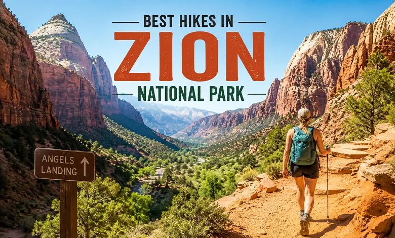 Best Hikes in Zion National Park: 12 Best Trails for Every Type of Hiker