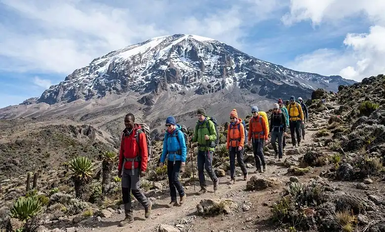 Kilimanjaro Mountain: Hiking Hours, Distance & What to Expect